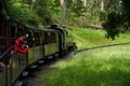 Belgrave vintage steam railway carry tourists through the fores