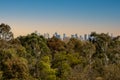 Distant view of Melbourne CBD towers from bush-land during sunset