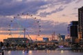 Melbourne Docklands cityscape Australia Royalty Free Stock Photo