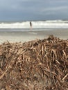 A view of the Space Coast in Melbourne, Florida - FLORIDA - ATLANTIC OCEAN Royalty Free Stock Photo