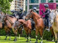 Melbourne, Victoria Australia - November 20 2021: Flagstaff Gardens Park Mounted police talk and drink on their horses while