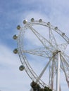 The Melbournestar Royalty Free Stock Photo