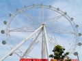 The Melbournestar wheel Royalty Free Stock Photo