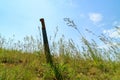 Melee weapons and machete knives stuck in the ground among the blades of grass against the blue sky