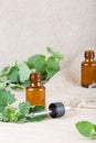 Melissa essential oil Royalty Free Stock Photo