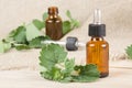 Melissa essential oil Royalty Free Stock Photo