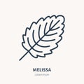 Melissa flat line icon. Medicinal plant leaf vector illustration. Thin sign for herbal medicine