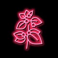 melissa herbal aromatherapy neon glow icon illustration