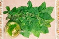 Melissa. Herb for use in alternative medicine, phytotherapy