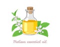 Melissa (lemon balm) essential oil in glass bottle, branch with green leaf and flowers isolated on white background.