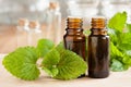 Melissa lemon balm essential oil - two bottles with fresh melissa leaves Royalty Free Stock Photo