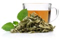 Melissa tea in a glass cup with lemon balm leaves Royalty Free Stock Photo