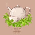 Melissa tea illustration Royalty Free Stock Photo