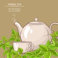 Melissa tea vector background Royalty Free Stock Photo