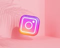 Melitopol, Ukraine - June 01 2021: Instagram logo icon, photography social media app, pink background with tropical leaves