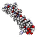 Melittin peptide toxin. Major component of apitoxin honey been venom.