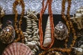 Shells and stones with beads of red coral and small amber on the white openwork border lie on black plywood