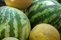 Mellons Royalty Free Stock Photo