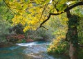 Mellow autumn on river bank Royalty Free Stock Photo