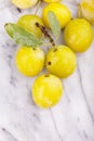 Mellow mirabelles, Royalty Free Stock Photo