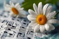 Melody blooms Daisy and music notes sheets create a harmonious composition