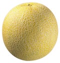 Melon