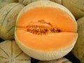 Melon