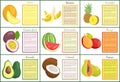 Melon and Banana Watermelon Posters Set Vector Royalty Free Stock Photo