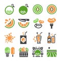 Melon,cantaloupe icon set