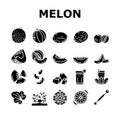 melon cantaloupe yellow fruit icons set vector Royalty Free Stock Photo