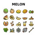 melon cantaloupe yellow fruit icons set vector Royalty Free Stock Photo