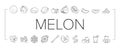 melon cantaloupe yellow fruit icons set vector Royalty Free Stock Photo