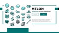 melon cantaloupe yellow fruit landing header vector Royalty Free Stock Photo