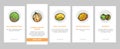 melon cantaloupe yellow fruit onboarding icons set vector Royalty Free Stock Photo