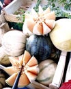 Melon of Cavaillon on the market Royalty Free Stock Photo