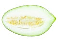 Melon cut Royalty Free Stock Photo