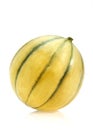 MELON DE CAVAILLON Royalty Free Stock Photo
