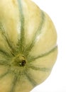 MELON DE CAVAILLON Royalty Free Stock Photo