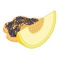 Melon dessert icon isometric vector. Cookie with seed and fresh ripe melon piece Royalty Free Stock Photo