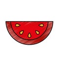 Melon fresh fruit icon