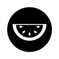 Melon fresh fruit icon