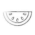 Melon fresh fruit icon