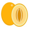 Melon fresh juicy summer fruit icon, vector illustration Royalty Free Stock Photo