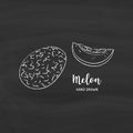 Melon fruit drawing. Sketch of melon with chalk on blackboard. Vector illustration Royalty Free Stock Photo