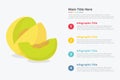 Melon fruit infographics with some point title description for information template -