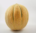 Melon