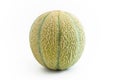 Melon Fruit upright