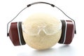 Melon in headphones and with safet glasses Royalty Free Stock Photo