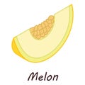 Melon icon, isometric style Royalty Free Stock Photo