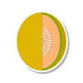 Melon icon